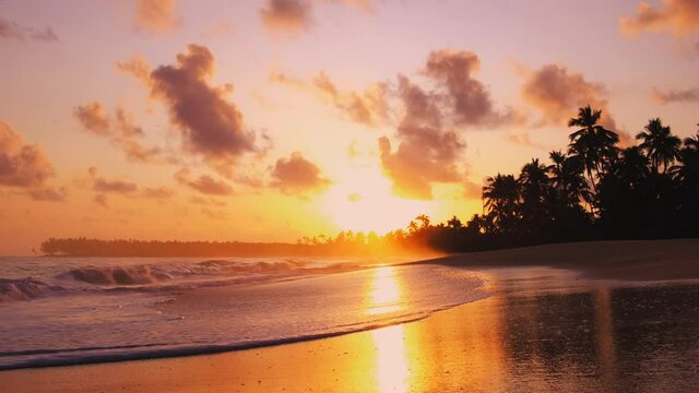Waves on the sand of a beautiful wild tropical beach. Silhouettes of palm trees on the background of golden sunset