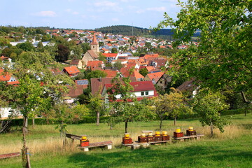 Fototapete bei efototapeten.de bestellen   