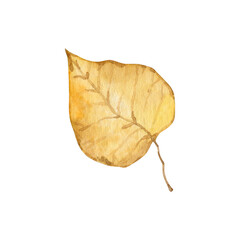 Naklejka premium Watercolor autumn foliage clipart illustration