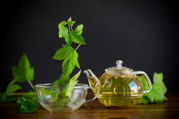 summer refreshing organic tea from currant leaves in a glass teapot