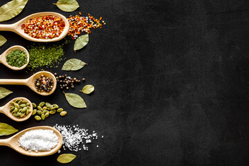 Layout of various spices in spoons. Top view, copy space