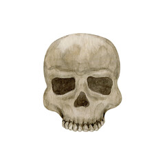 Watercolor spooky skull illustration 