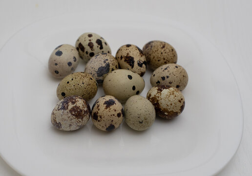 quail eggs on white background

