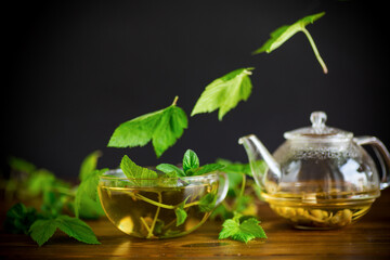 summer refreshing organic tea from currant leaves in a glass teapot