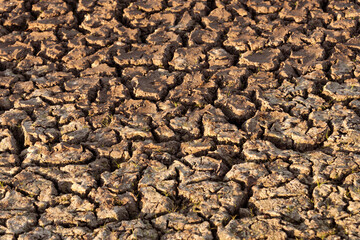Cracked and dry earth in the desert. Global warming and shortage of water on the planet. Drought, cracked ground. Natural texture of soil with cracks, wasteland, climate changes. Selective focus