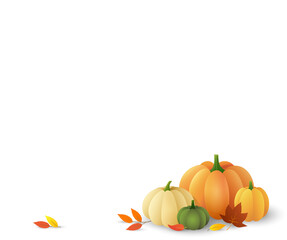 Thanksgiving day beautiful vector background for design with pumpkins and autumn leaves isolated on white
