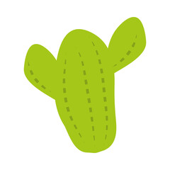 cactus plant desert flora botanic icon flat style