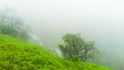 Fototapeta na wymiar Misty view in Raigad fort, Maharastra.