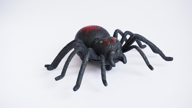 Black clockwork plastic toy spider on a white background, close up. oncept of celebrating the day of the dead, Halloween
