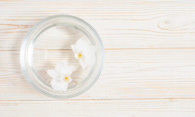 Two white flowers in water bowl on the white wooden background flat lay top view composition