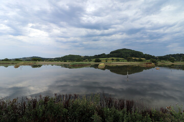 Seaton Wetlands in Devon