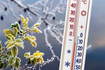 The thermometer on the background of frost-covered tree branches shows a temperature of minus 10...
