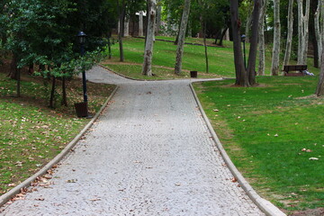 Fototapeta premium path in the park