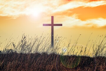 The cross of God in the rays of the sun. Background of religions