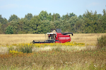 Fototapeta premium combine harvester aids in the harvesting of grain crops