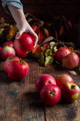 Red ripe apples on a wooden background and a child's hand that grabs an Apple