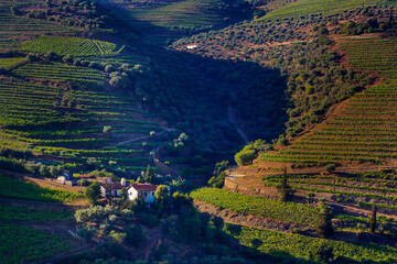 Miradouro de S&atilde;o Leonardo em Galafura