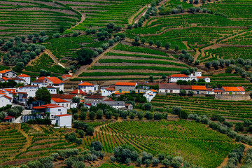 Miradouro Casa de Casal de Loivos viewpoint