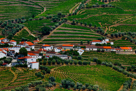 Miradouro Casa de Casal de Loivos viewpoint