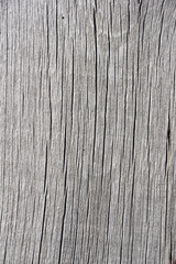 Fototapeta premium Old Gray Woodgrain background