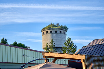 An old water tower with trees and grass growing on its top. 