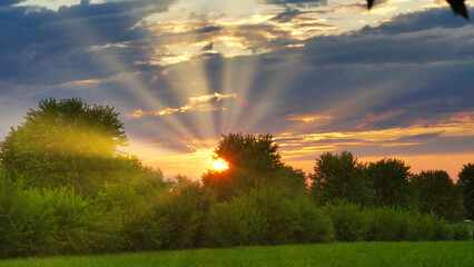 Sunset with a yellow sun and sun rays thru trees. High quality photo. With clouds and sky