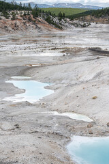 Norris Geyser Basin, Yellowstone National Park