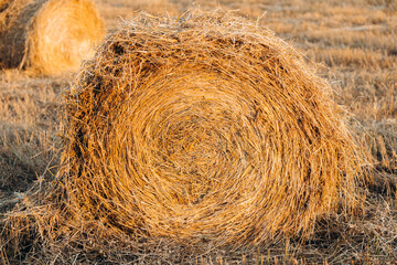 A roll of hay in a mown field in dusk or dawn light.