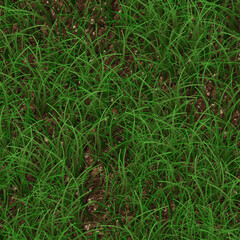 grass background