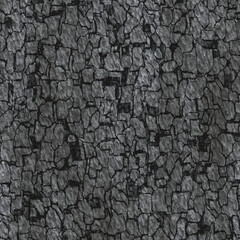 texture of the burnt wood