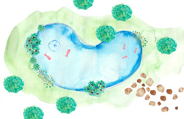 Aquatic basin garden water natural 
