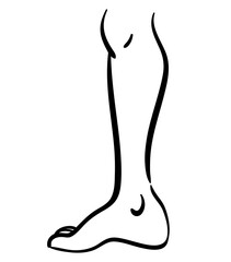 Black contour line illustration of thin leg