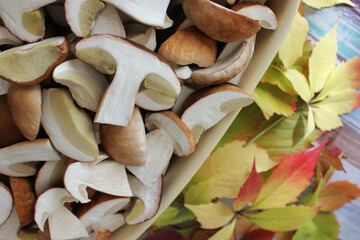 Sliced edible mushrooms Boletus edulis on a plate. Background of autumn colored leaves. Top view. Close up.