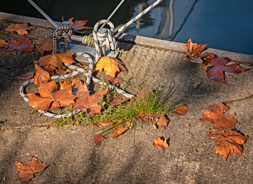 Mooring rope with a knotted end tied around a cleat in autumn