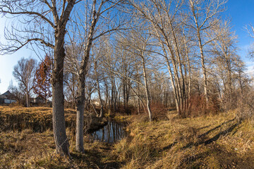 Allphotokz Taldykorgan Nature 20161110 9345 5DM3 S