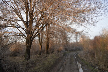 Allphotokz Taldykorgan Nature 20180323 5443 D810 S