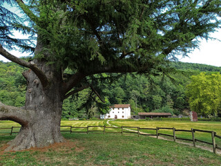 Landscape of the National Park of Bertiz (Navarra, Spain)