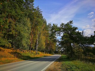 winding desert asphalt road in the forest on a sunny day, Russian nature