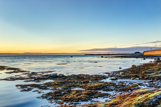 Sunset in Rimouski, Quebec by Saint Lawrence river in Gaspesie region of Canada with sand, seaweed in water and view of coast