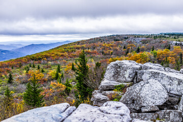 Fototapeta na wymiar Morning dark sunrise with blue sky and golden yellow orange autumn foliage in Dolly Sods, Bear Rocks, West Virginia with overlook of mountain valley, clouds