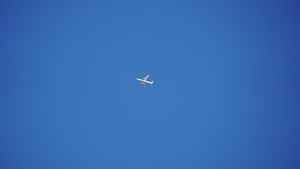 airplane in flight