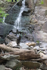 Fototapeta premium waterfall in the forest