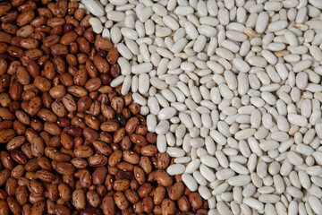 red and white dry beans close-up, background