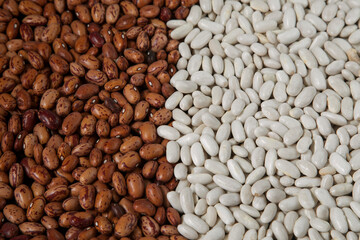 red and white dry beans close-up, background