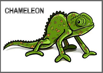 Chameleon