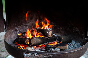 Campfire in metal container, fire ring closeup of burning logs and bright flames of fire