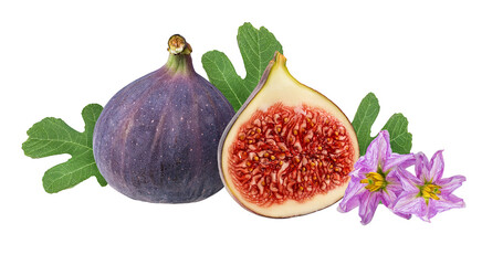 Figs isolated on a white background.