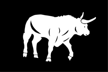 Vector white color ox isolated on black bacground, illustration