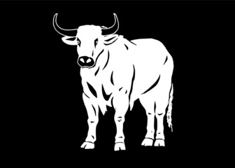 Vector white color ox isolated on black bacground, illustration