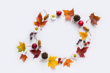 Autumn wreath of leaves, apples, flowers, berries on white background